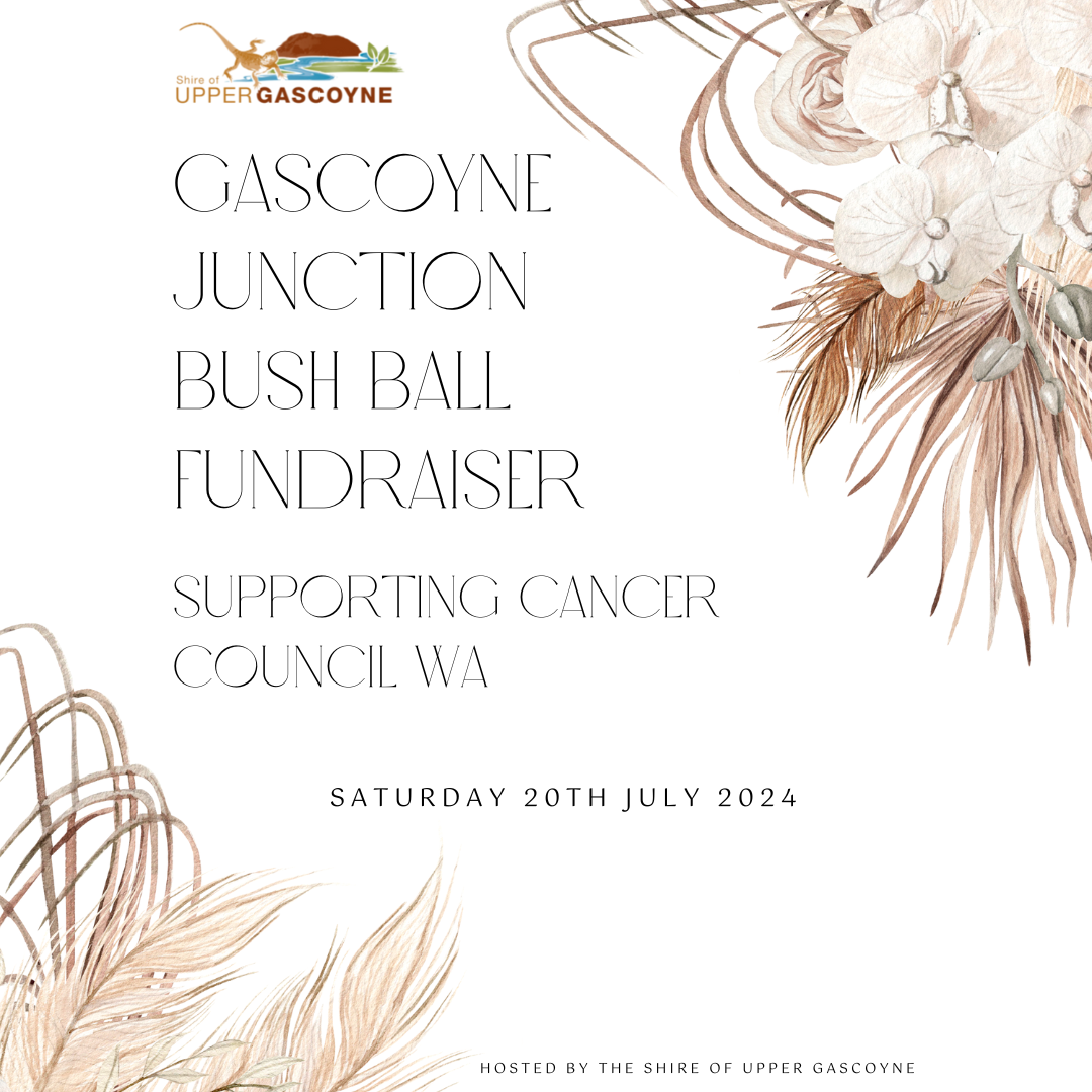 Gascoyne Junction Bush Ball